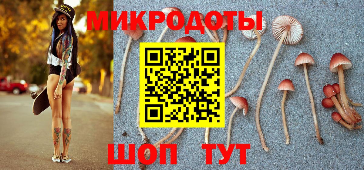 Галлюциногенные грибы прущие грибы  где можно купить   Октябрьский  Вход с VPN 